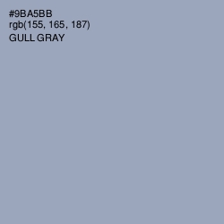 #9BA5BB - Gull Gray Color Image